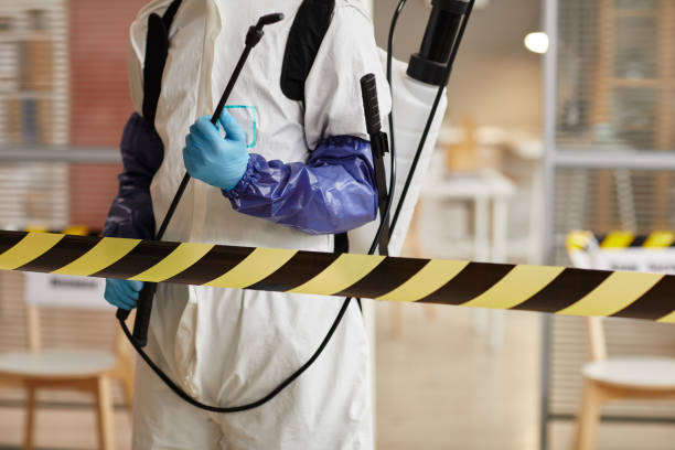 Professional Sewage Cleanup technician working in Lewis Center, OH